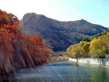 澳门二四六天天彩图库，都市龙舞